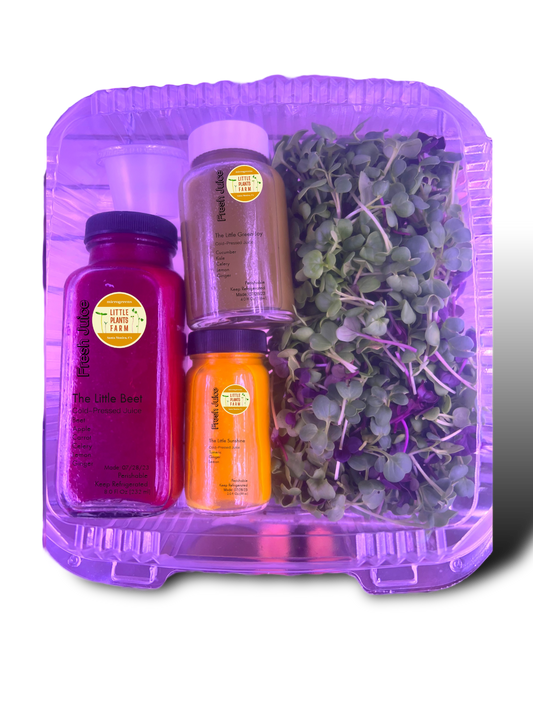 The Little Lunch Pack