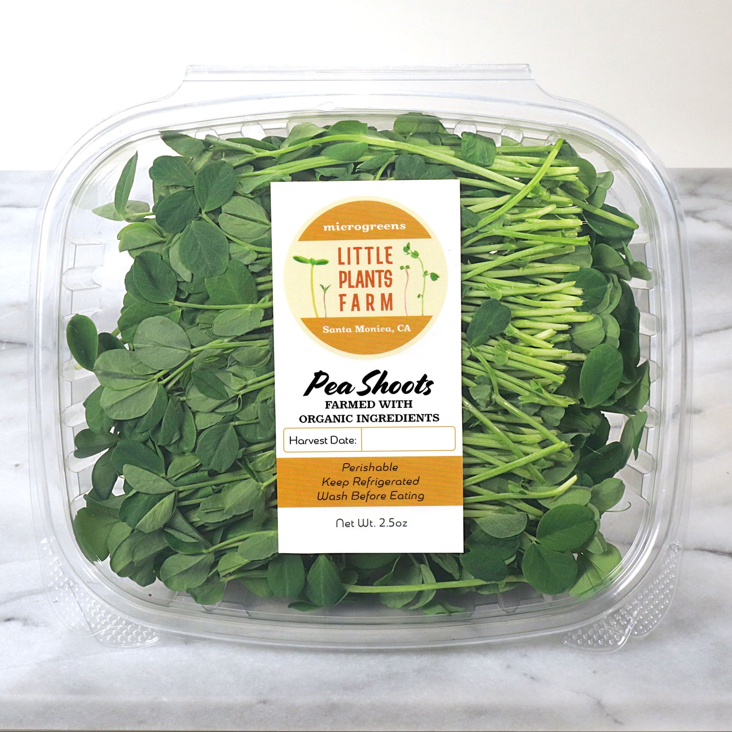 Pea Shoots
