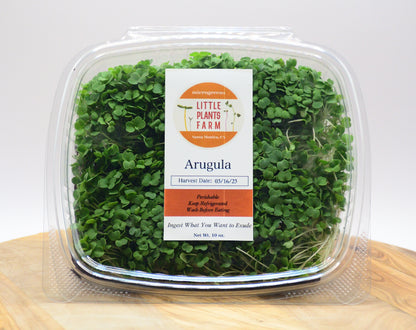 Arugula